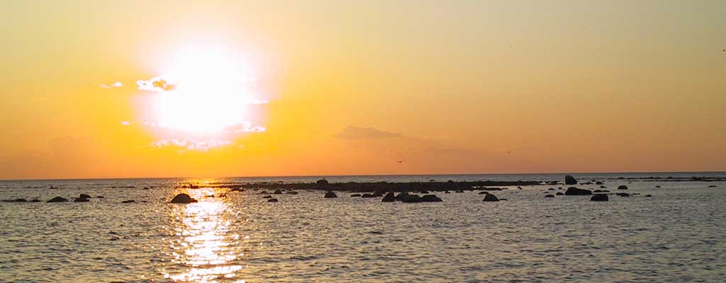 Summer Breeze photo