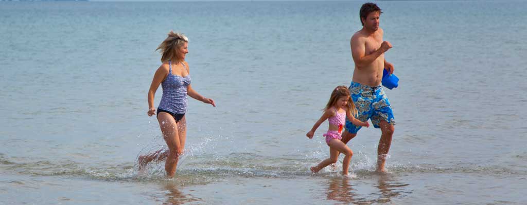 Summer Breeze photo