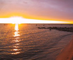 Summer Breeze photo