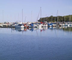 Summer Breeze photo